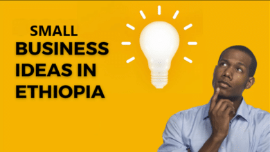 small business ideas in ethiopia